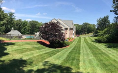 Landscaper-Pompton-Plains-NJ